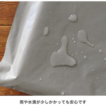無地リサイクル宅配バッグ HEADS(ヘッズ)