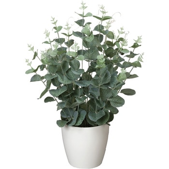 ユ-カリ - アートクリエーション