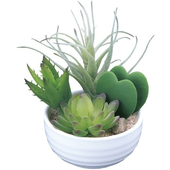 寄せ植えラブリ―(ポリ製) アートクリエーション