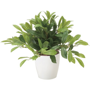 ロ―レル アートクリエーション