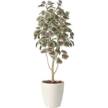 コリウス1．1 アートクリエーション