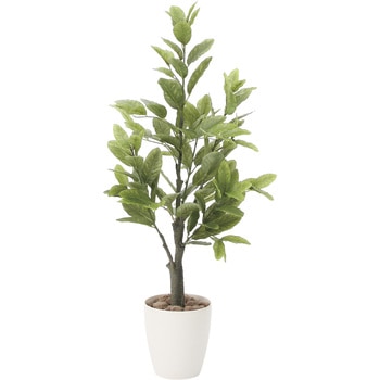 レモン アートクリエーション