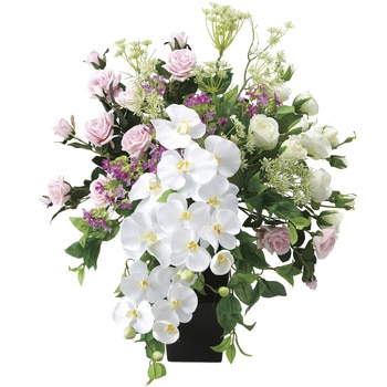 グランドファレノ アートクリエーション