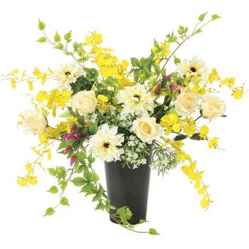 ツインソフトロ-ズ アートクリエーション