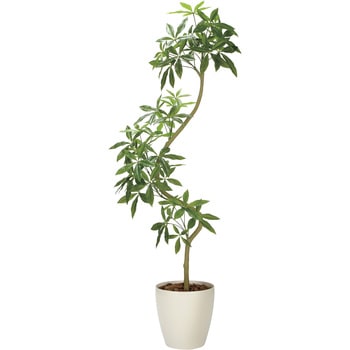 ツイストパキラ2．1(組立式) アートクリエーション