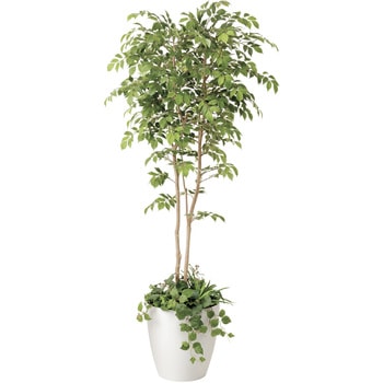 マウンテンアッシュ1．8植栽付 アートクリエーション