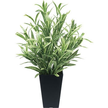 ツ-トンスパイダ- アートクリエーション