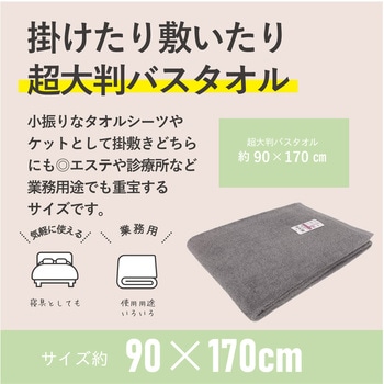超大判バスタオルフラッピーカラー 林