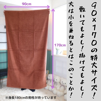 超大判バスタオルフラッピーカラー 林