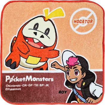 ハンカチタオルポケモンインクジェット 林