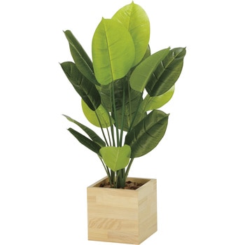 ウッドボックススキンダプサス85 アートクリエーション