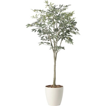 オリーブツリー アートクリエーション