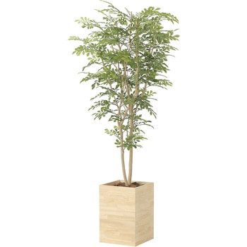 ウッドボックストネリコミックス1．8 アートクリエーション