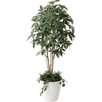 パキラ1．8 植栽付 アートクリエーション