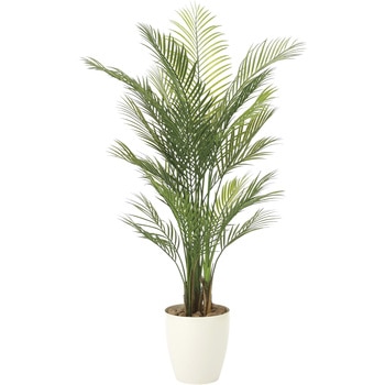 アレカパ-ム(ポリ製) アートクリエーション