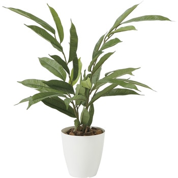 アムステルラバーキング55 アートクリエーション