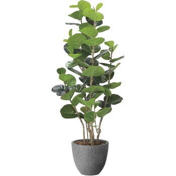 ナチュラルシーグレープ1．6 - アートクリエーション