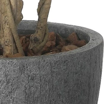 ナチュラルシーグレープ1．6 - アートクリエーション