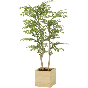 ウッドボックスライトトネリコ1．0 アートクリエーション