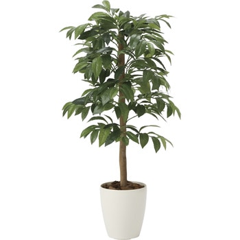 アルデシア(万両)90 アートクリエーション