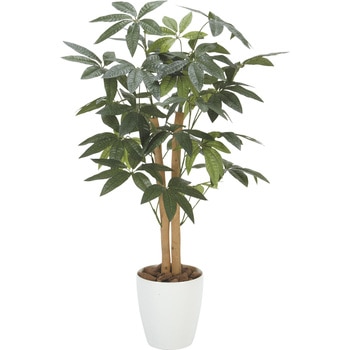 パキラ 90 アートクリエーション