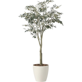 オリーブツリー1．85(組立式) - アートクリエーション