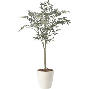 オリーブツリー アートクリエーション