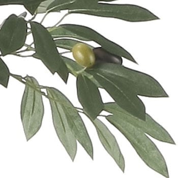 オリーブツリー アートクリエーション