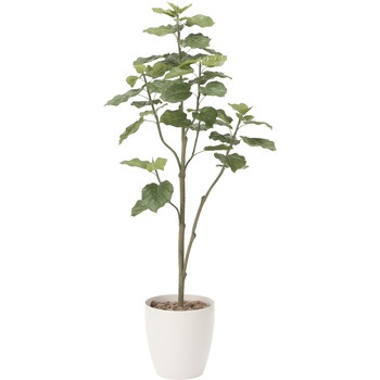 ウンベラ―タツリ―1．8 アートクリエーション