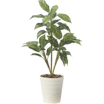 フィロ90 アートクリエーション