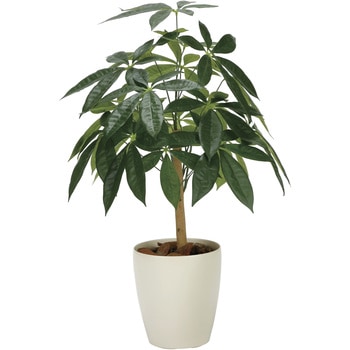 パキラリーフツリー72 アートクリエーション