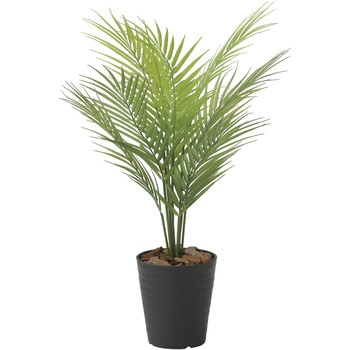 パームツリー アートクリエーション