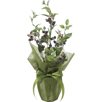 ブル-ベリ- アートクリエーション