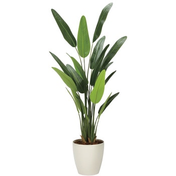 フレッシュトラベラーズパーム1．55 - アートクリエーション