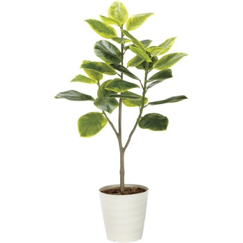 フレッシュアルテシマ アートクリエーション