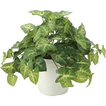 フレッシュカラ-ジュ-ム アートクリエーション