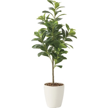 フレッシュマネーツリー90 アートクリエーション