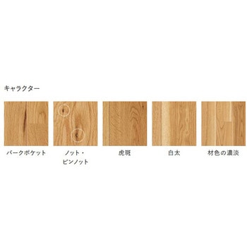 値下げ】朝日ウッドテックMSX20005S(オーク)突板 朝日ウッドテック 