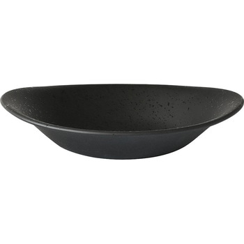 かるーいカレー皿 黒天目 キャスティ