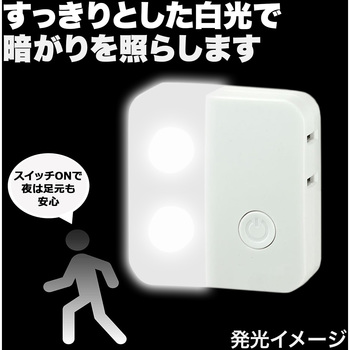 LEDスイッチ付ライト ELPA