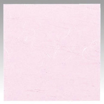 �] ���ԓ��~����3�� �a�[���H 81974926