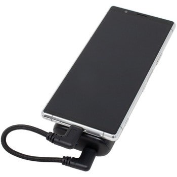 PD60W対応 USB2.0 Type-Cケーブル 両端横L型 15cm アイネックス