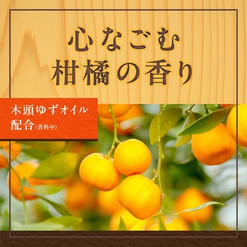 温泡 ONPO 12錠 アース製薬