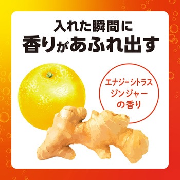温泡 ONPO デカまる アース製薬