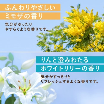 温泡 ONPO 12錠 アース製薬
