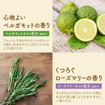 温泡 ONPO 12錠 アース製薬