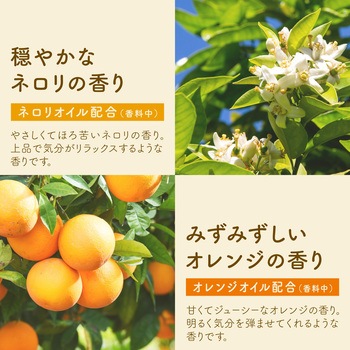 温泡 ONPO 12錠 アース製薬