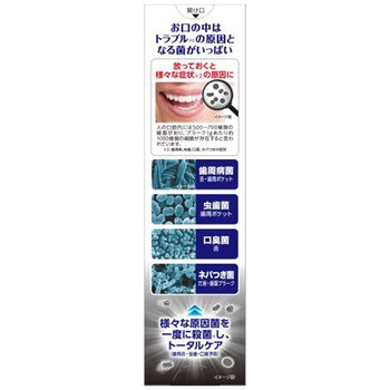 ゼローラ ストロングミント 小林製薬