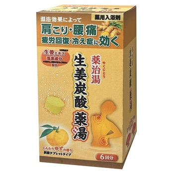 薬治湯 生姜炭酸薬湯 ヘルス