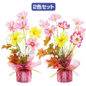 コスモスラッピングセット アルファ(販促)